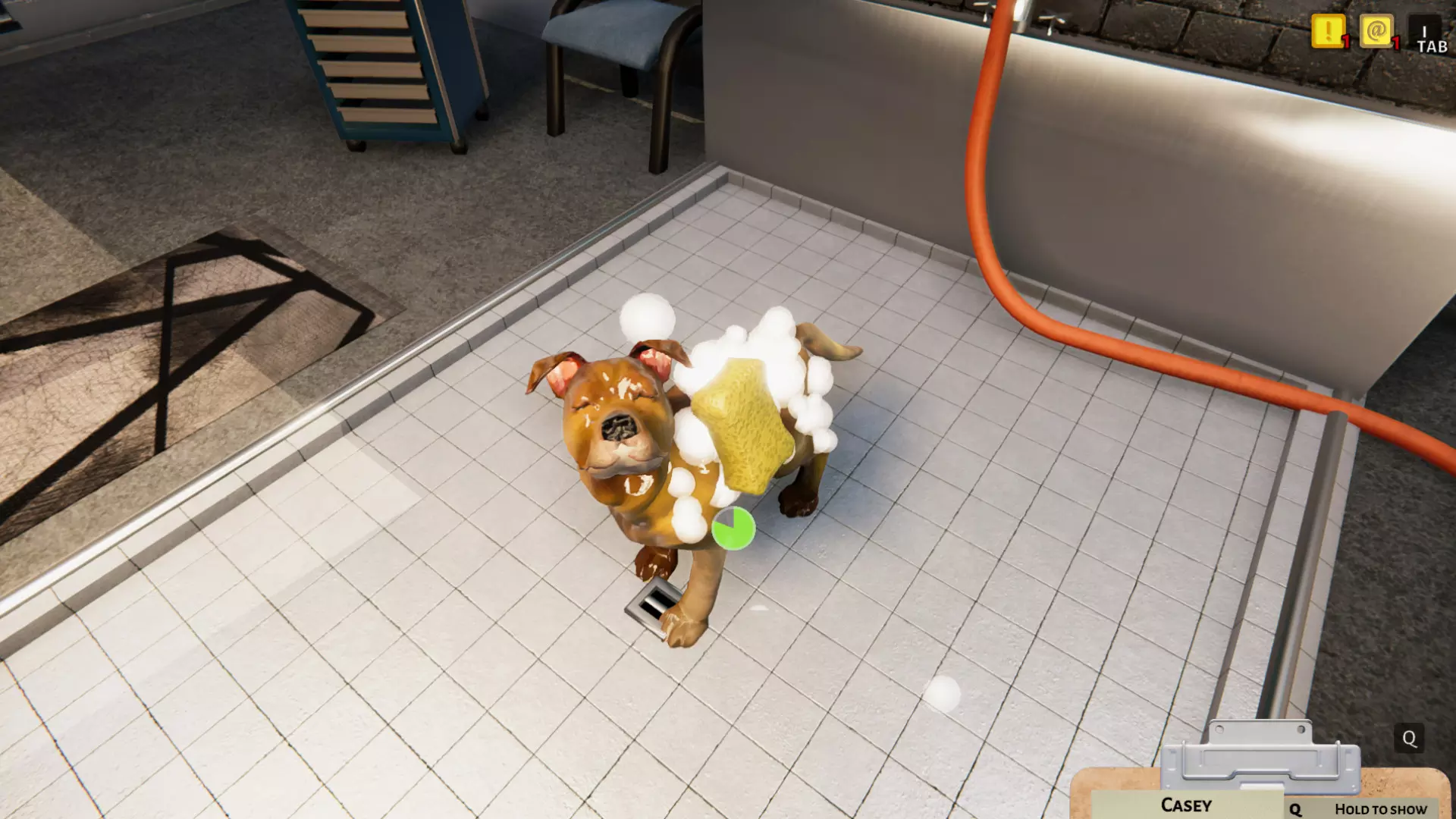Download Animal Shelter Torrent